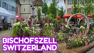 Rose And Culture Week In BISCHOFSZELL SWITZERLAND [upl. by Ydarg]