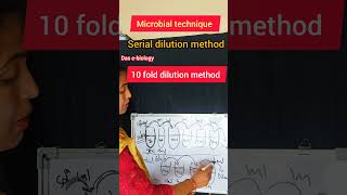 serial dilution method microbiology experiment 10fold dilution method [upl. by Bronwen560]