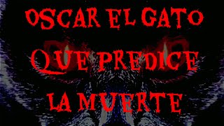 Oscar El Gato Que Predice La Muerte  Templario1 [upl. by Drahsir]