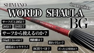 【サーフシャウラ】サーフ最適シャウラを使ったら思う様に魚が釣れる様になった。コレは使うべき。 [upl. by Ralf]