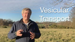 Organelles Understanding Vesicular Transport [upl. by Bodi]