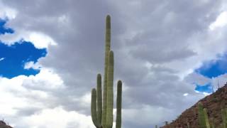 Watch Clouds and cacti on an autumn day [upl. by Benge]