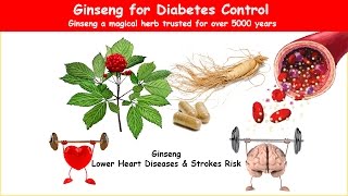 Ginseng Diabetes Herb Lower Blood Sugar [upl. by Chessa]