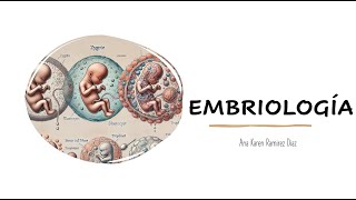 EMBRIOLOGIA DEL APARATO RESPIRATORIO 🤱 [upl. by Eelyek]