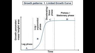 103 Growth pattern  1Limited growth curve annual plant [upl. by Bertasi]