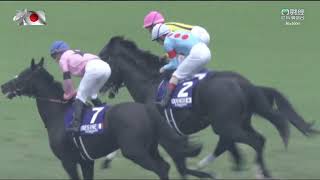 2023 日本盃 Japan Cup 春秋分 Equinox イクイノックス 李慕華 [upl. by Anastasio]