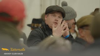 Review Tattersalls Cheltenham December Sale 2023 [upl. by Ajnot]