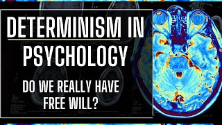 Determinism in Psychology  Is Free Will an Illusion amp Human Behavior Deterministic [upl. by Collins730]