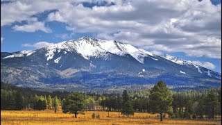 Scenic Drive through Flagstaff Arizona [upl. by Awjan749]