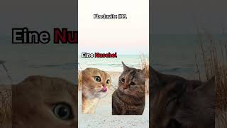 Was liegt am Strand und redet undeutlich  katzenmemes flachwitze catmemes [upl. by Leahcimaj]