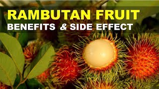 Rambutan Fruit Benefits and Side Effects Rambutan Rich in Nutrients and Antioxidants [upl. by Aduh]