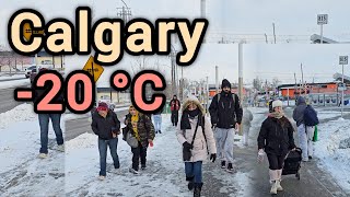 Snowfall and Extreme Cold in Calgary Alberta Canada Calgary winter Walking tour Calgary alberta [upl. by Meldoh824]