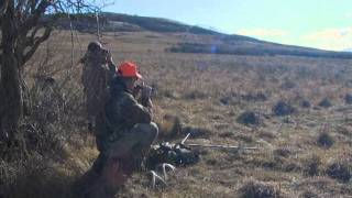 Hunting Whitetail Deer Alberta Canada Winchesters World Of Whitetails With Willow Creek Outfitters [upl. by Yanarp]