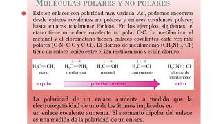 Apolaridad y polaridad y su relación con las mezclas [upl. by Anitsirhk]