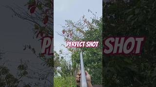 12 Gauge Single barrel Shotgun youtubeshorts duckhunting 12gaugeshotgun 12gauge buckshot oxota [upl. by Sigismund351]