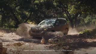 Adventure on a Deeper Level  Timmons Subaru [upl. by Areik]