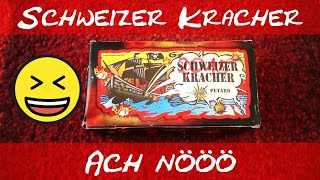 Ach nöö Schweizer Kracher  Pyro Austria  PyroMoe [upl. by Skantze489]