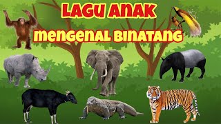 Lagu Anak Mengenal Binatang Khas Indonesia [upl. by Burrow692]