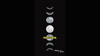 Ep 132 Moons Phases Why They’re Never the Same Twice short universe astronomy [upl. by Nap]