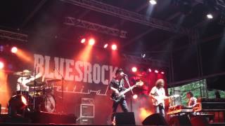 Bluesrock Festival Tegelen 2013  King of the world [upl. by Bowles466]