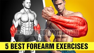 5 Best Exercises for Bigger Forearms [upl. by Peskoff961]