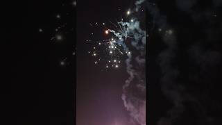 Diwali firework London viral video Diwali firework Londonvideo [upl. by Nenney250]