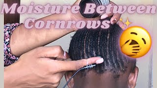 Asmr✨😴 Oiling and Greasing Your Scalp Between Cornrows Head massage  No Talking asmr [upl. by Nayek]