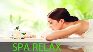 6 Hour Relaxing Spa Music Yoga Music Soothing Music Massage Music Calming Music ☯361 [upl. by Gievlos]