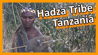 Tanzania  Hadza Tribe Hunters amp Gatherers [upl. by Gussie]