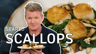 Gordon Ramsay Makes Seared Scallops  Cooking With Gordon  HexClad [upl. by Pronty311]