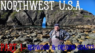 Northwest USA  Part 14 REDWOOD amp OREGON COASTS [upl. by Selwyn]