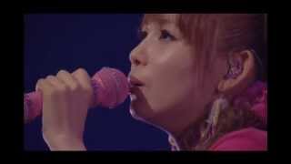 Shoko Nakagawa  Arigatou no Egao Live [upl. by Lahcsap]