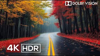 Most Relaxing 4K Video Ever 60fps HDR Dolby Vision [upl. by Haimerej]