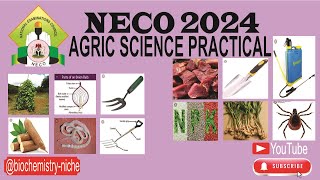 NECO 2024  AGRICULTURAL SCIENCE PRACTICAL SPECIMENS [upl. by Asylla]