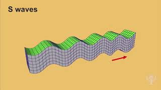 Seismic waves earthquake [upl. by Naie]