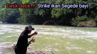 Kami terjebak Mancing Di sarang ikan monster berkumpul [upl. by Sturrock380]