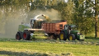 Loonwerken Van Holderbeke  Claas Jaguar 900 Speedstar  gras hakselen [upl. by Segroeg]