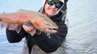 Pyramid Lake Fly Fishing 23lb Midge Eating Lahontan Cutthroat using an Indicator Setup [upl. by Hicks]