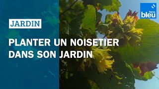 Comment bien planter un noisetier  les conseils de Roland Motte [upl. by Jezabelle]