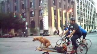 Philly Critical Mass September 2008 and Sarah Palin Demo [upl. by Arawaj146]