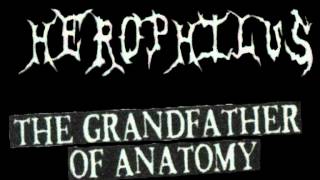 Herophilus  The Grandfather Of Anatomy [upl. by Llennahs]