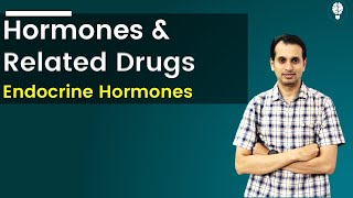 Hormones and Related Drugs  Endocrine Hormone Pharmacology [upl. by Katine]