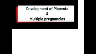 Development of Placenta and Multiple pregnancies [upl. by Ponton]