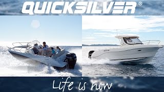 Quicksilver  Life is now [upl. by Shulins700]