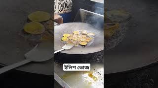 মাওয়ার ইলিশ ভোজ ইলিশ podda পদ্মাসেতু food [upl. by Eilrahs]