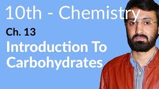 Class 10 Chemistry Chapter 5  Introduction to Carbohydrates  10th Class Chemistry Chapter 5 [upl. by Micco]