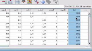 SPSS Berechnen von neuen Variablen [upl. by Nylacaj83]