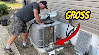 How To Clean Your Air Conditioner Condenser [upl. by Nichols494]