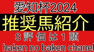 愛知杯2024 最終追切確認後の推奨馬紹介 S評価は1頭 [upl. by Pellegrini]