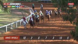 Live Hippodrome « SETTAT »  Courses du « 22112023 » [upl. by Ahtnicaj]